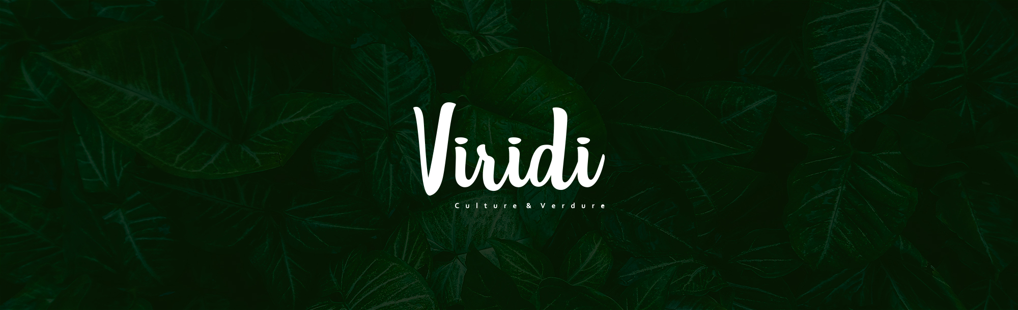 VIRIDI_Bandeau.jpg